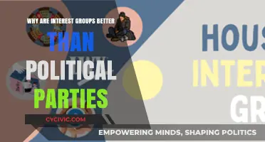 Interest Groups vs. Political Parties: Why Focused Advocacy Wins