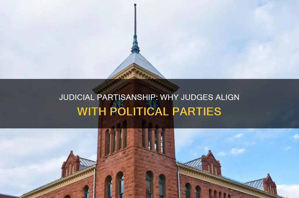 why are judges aligned with a political party