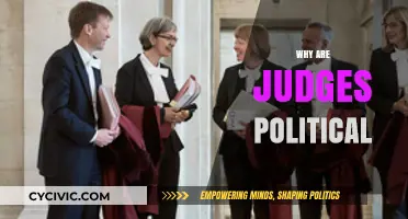 Judicial Politics: Unveiling the Inevitable Political Nature of Judges