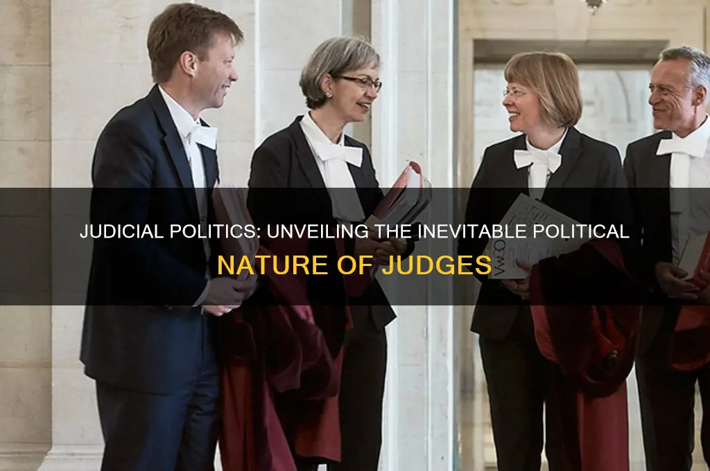 why are judges political