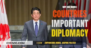 Middle Powers: The Diplomatic Bridge Builders