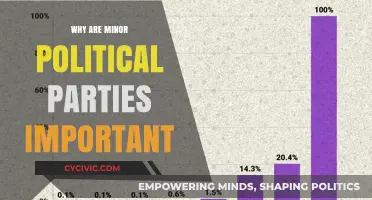 Why Minor Political Parties Matter: Diversity, Representation, and Democracy