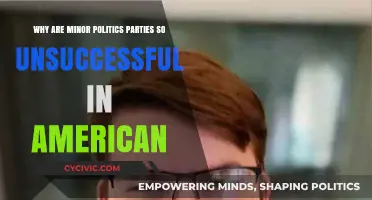 Why Minor Political Parties Struggle to Gain Traction in America