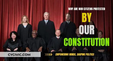 The Constitution's Protection: Non-Citizens' Rights and the Law
