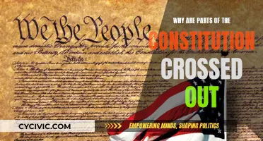Understanding Constitution Amendments: What's Crossed Out and Why