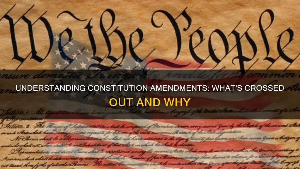 why are parts of the constitution crossed out