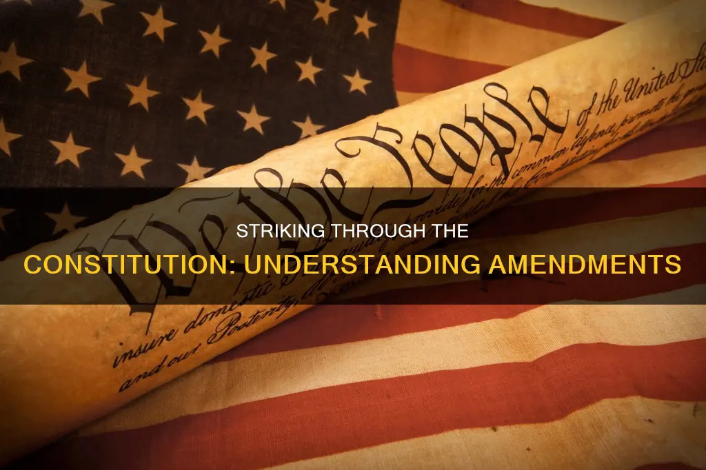 why are parts of the constitution lined through