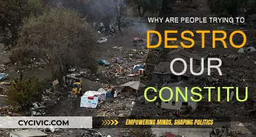 The Constitution Under Attack: Why the Threat?