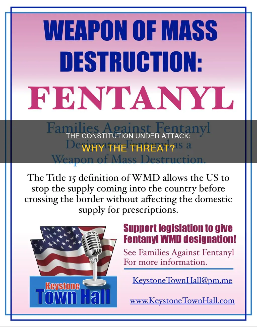 why are people trying to destroy our constitution