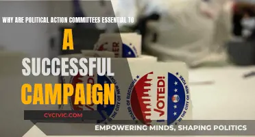 Political Action Committees: Key to Campaign Success