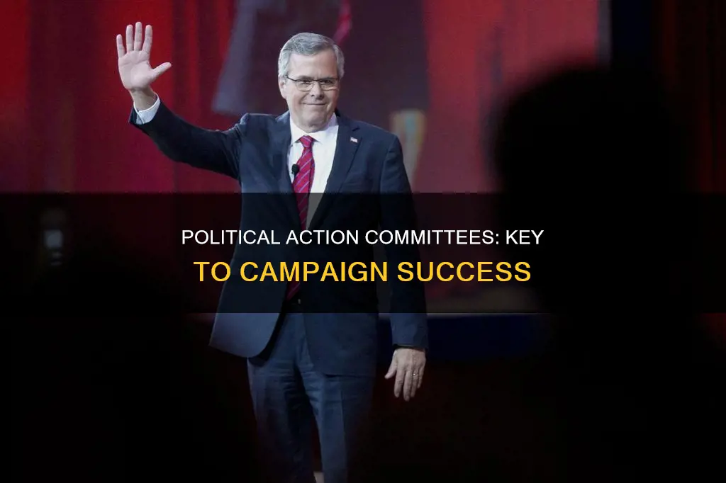 why are political action committees essential to a successful campaign