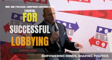 Campaign Contributions: Fueling Successful Political Lobbying Efforts