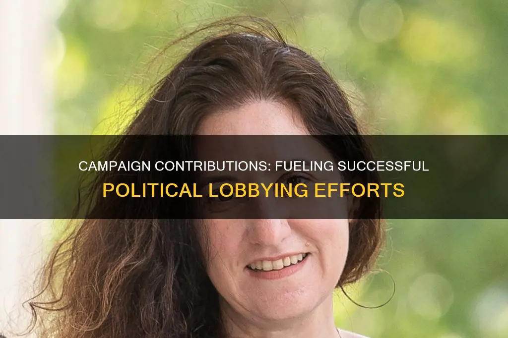 why are political campaign contributions essential for successful lobbying