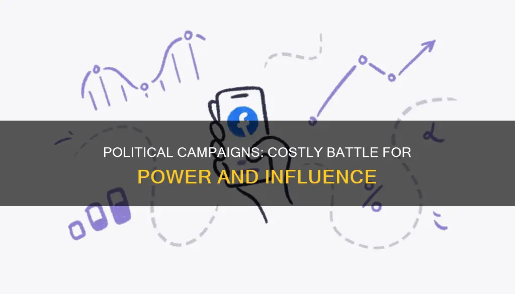 why are political campaigns so expensive