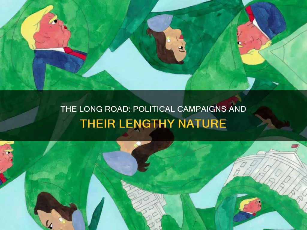 why are political campaigns so lengthy