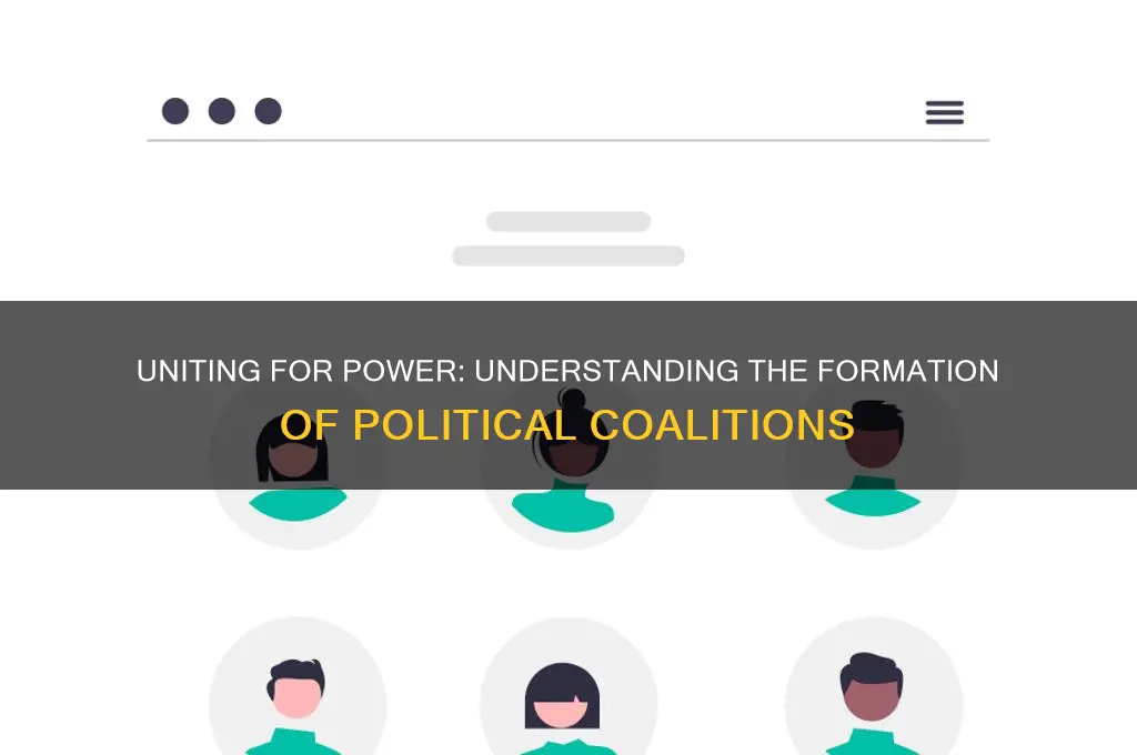 why are political coalitions formed