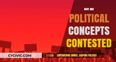 Why Political Concepts Spark Endless Debates and Divides Society