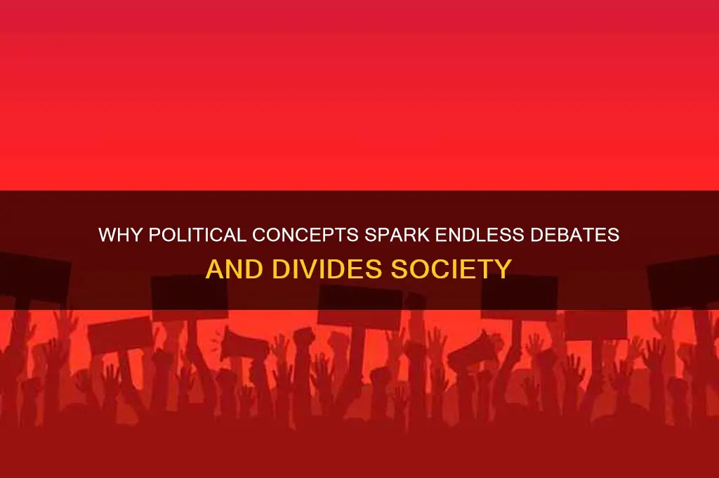 why are political concepts contested