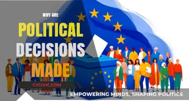 Understanding the Complex Motivations Behind Political Decision-Making