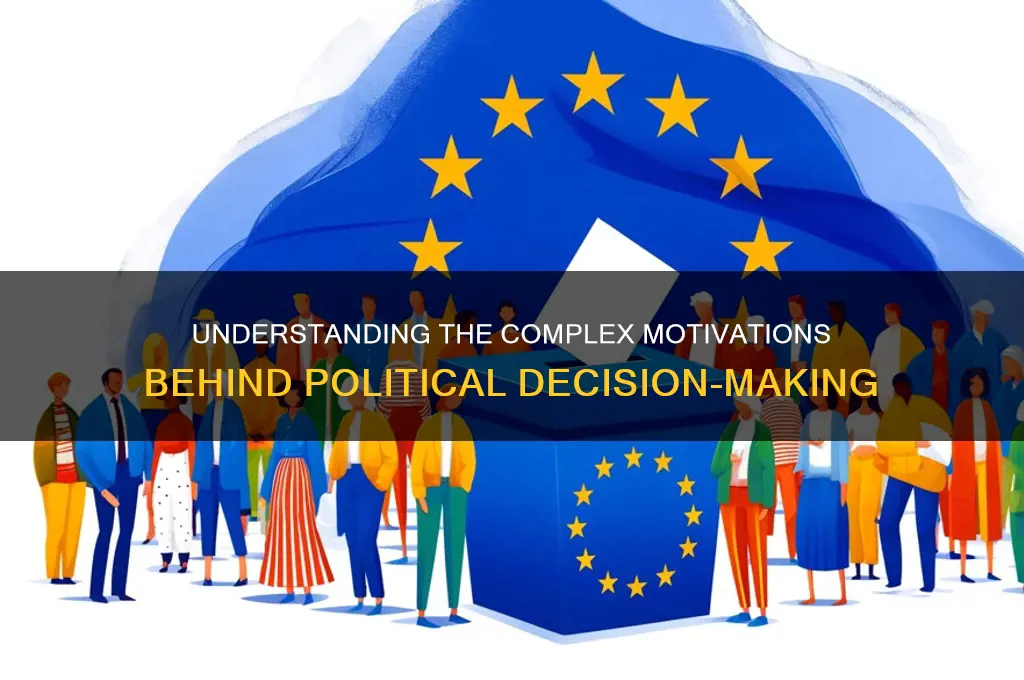 why are political decisions made