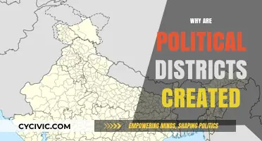 Understanding the Purpose and Impact of Political District Creation