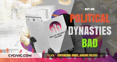 Political Dynasties: Undermining Democracy, Equality, and Merit-Based Leadership