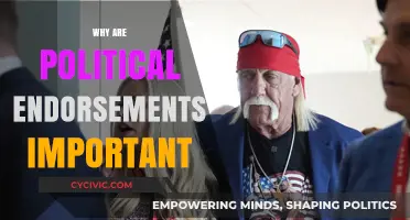 The Power of Political Endorsements: Shaping Public Opinion and Elections