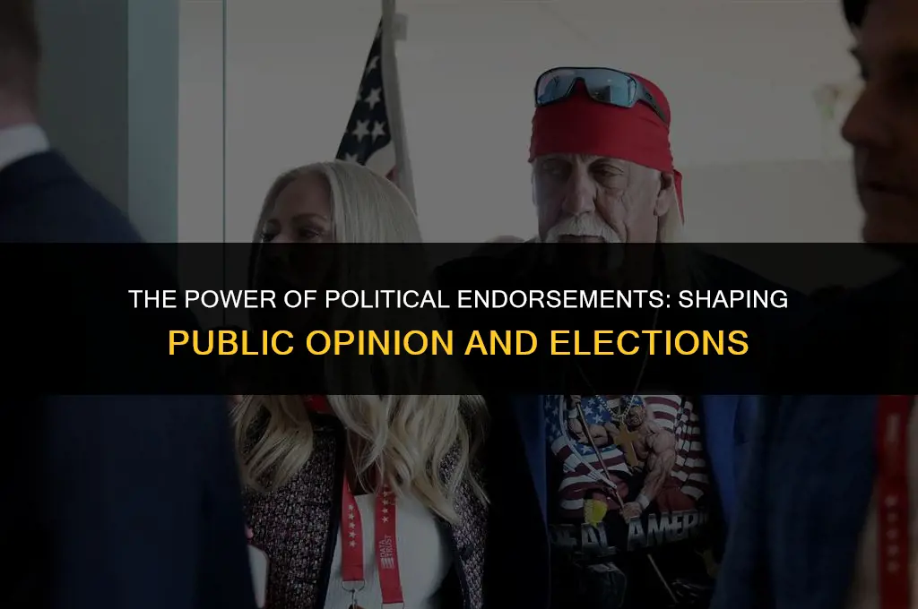 why are political endorsements important