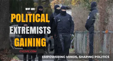 Rising Extremism: Unraveling the Surge in Political Radicalization