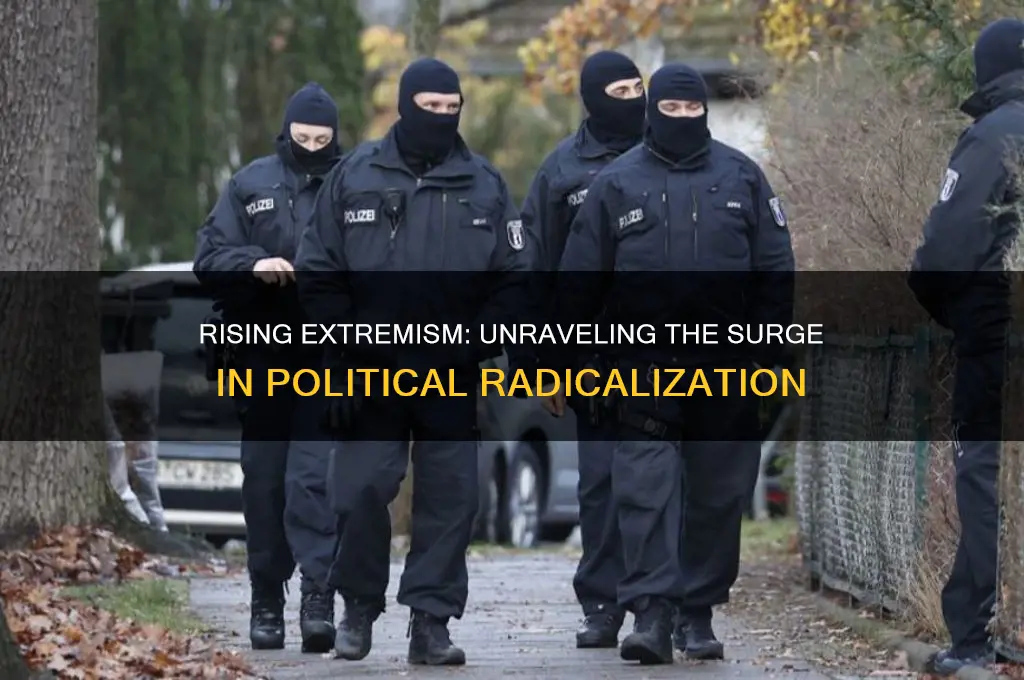 why are political extremists gaining