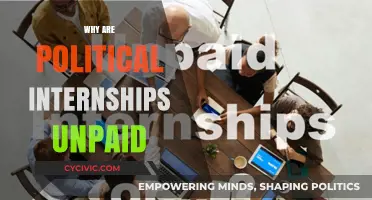 Unpaid Political Internships: Exploitative Practice or Necessary Stepping Stone?