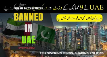 Understanding the UAE's Ban on Political Parties: Reasons and Implications