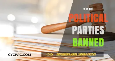 Understanding the Reasons Behind Political Party Bans Worldwide