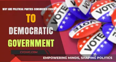 Why Political Parties Are Vital for Democratic Governance and Stability