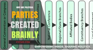 Why Political Parties Form: Understanding Their Creation and Purpose