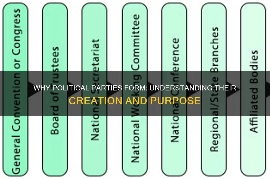 why are political parties created brainly