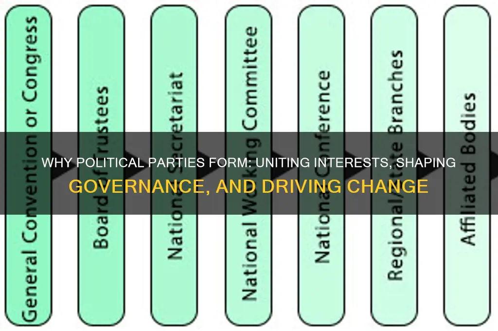 why are political parties created