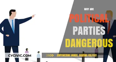 The Hidden Dangers of Political Parties: Polarization and Power Struggles