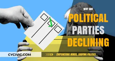 The Erosion of Political Parties: Causes and Consequences of Decline