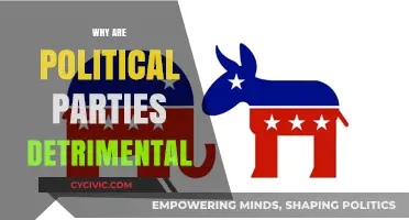 How Political Parties Undermine Democracy and Divide Societies