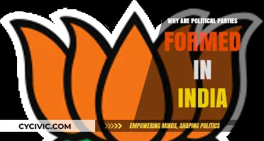 Understanding the Formation of Political Parties in India: A Comprehensive Guide