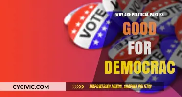 Political Parties: Strengthening Democracy Through Representation and Civic Engagement