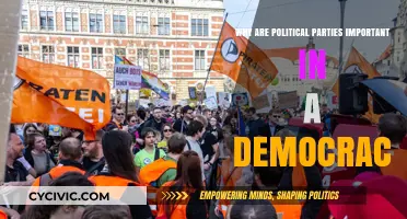 Why Political Parties Are Vital for Democratic Governance and Stability