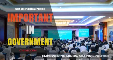 The Crucial Role of Political Parties in Shaping Effective Governance