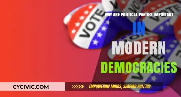 Why Political Parties Are Crucial for Modern Democratic Systems