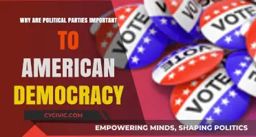 Why Political Parties Are Vital to American Democracy's Function and Future