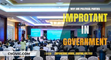 Why Political Parties Are Essential for Effective Governance and Democracy