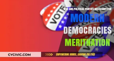 Why Political Parties Are Essential for Modern Democratic Systems
