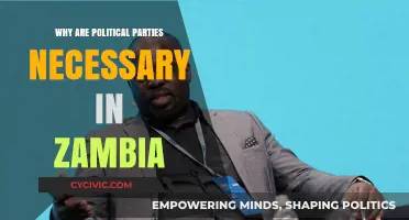 Why Zambia Needs Political Parties: Democracy, Representation, and Governance Explained