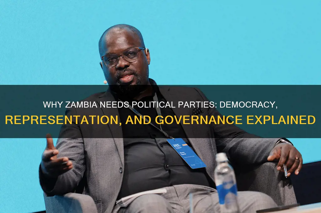 why are political parties necessary in zambia